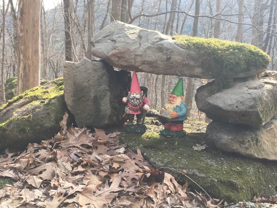 gnomes