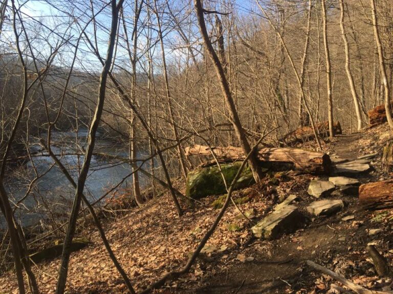 Running along the river!