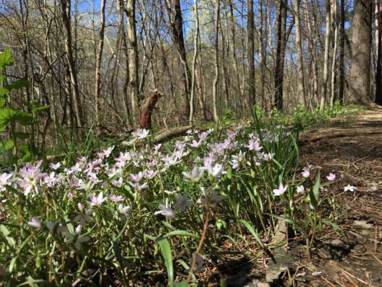 Fine day on the trails today.