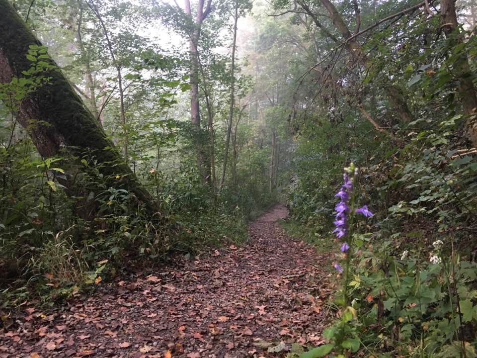 Mohican trail 3