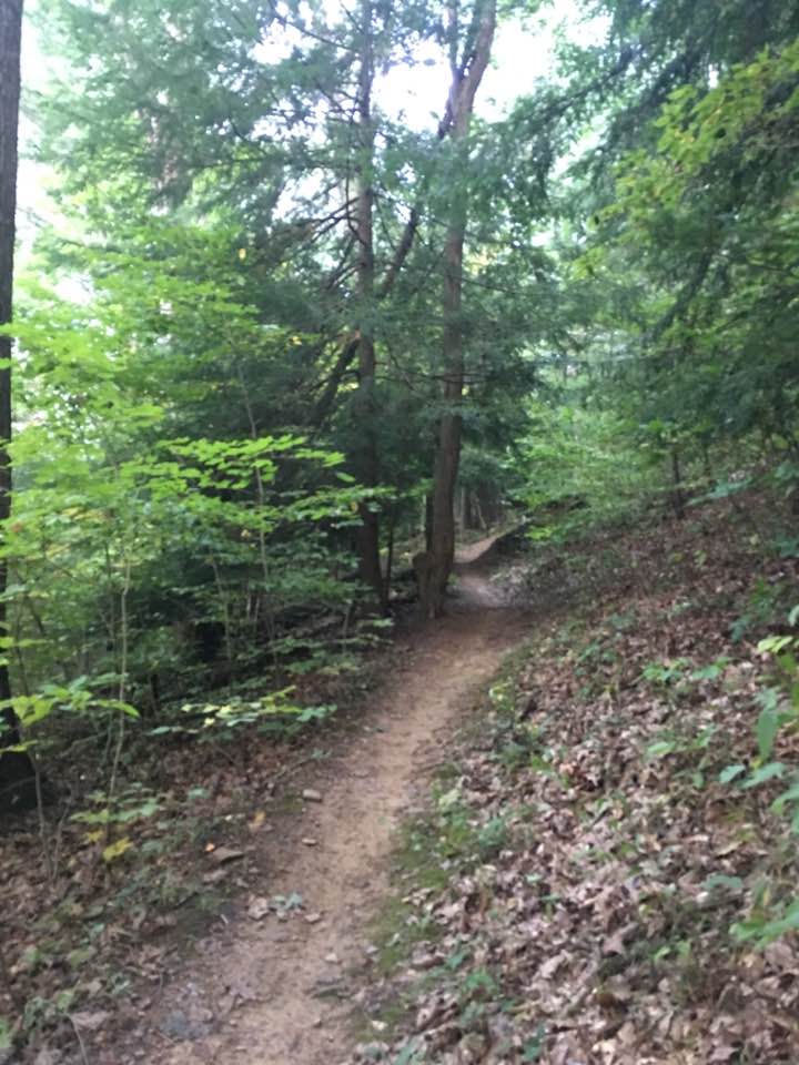 Mohican trail