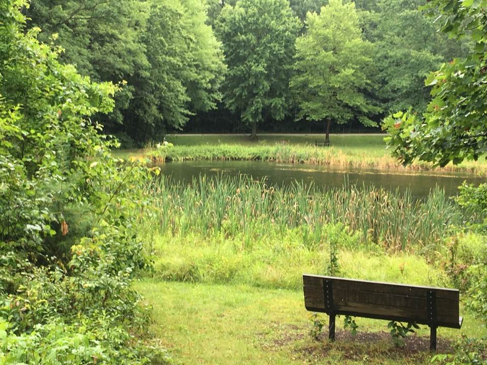 Bench by water