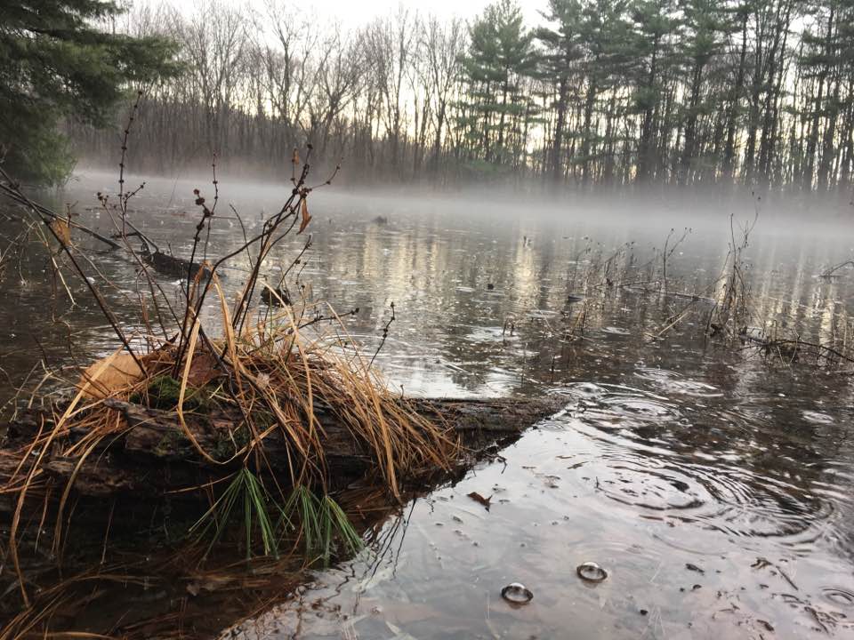 foggy water