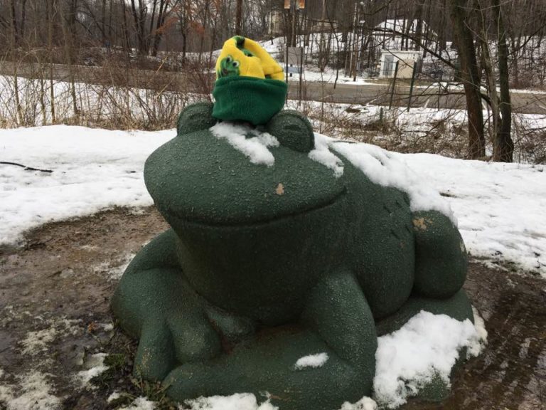 frog with hat