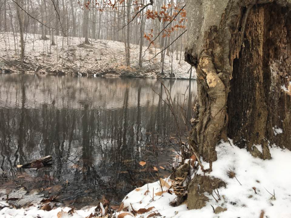 river and snow