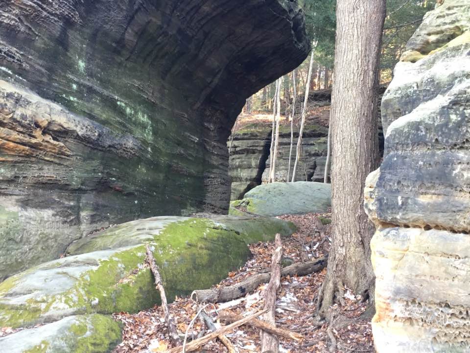 rocks and trees 3