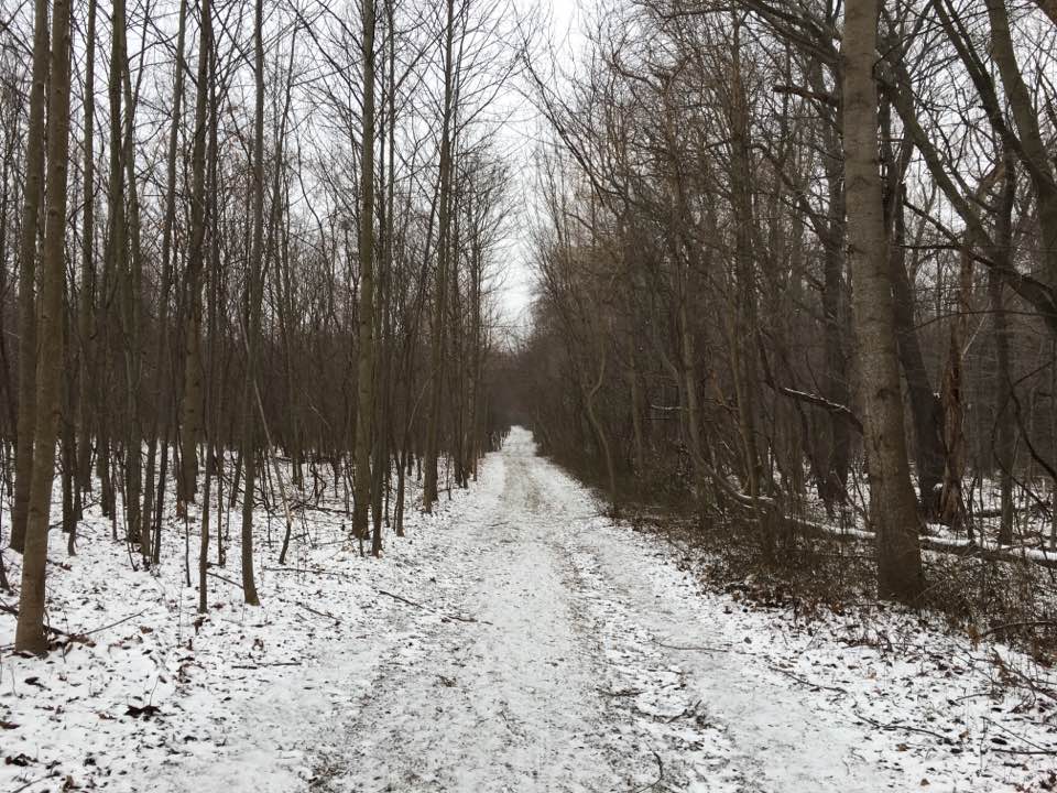 snowy trail