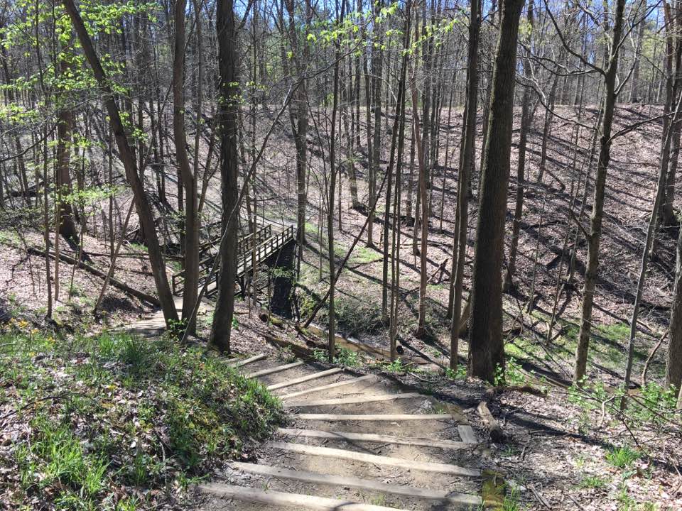 steps and bridge