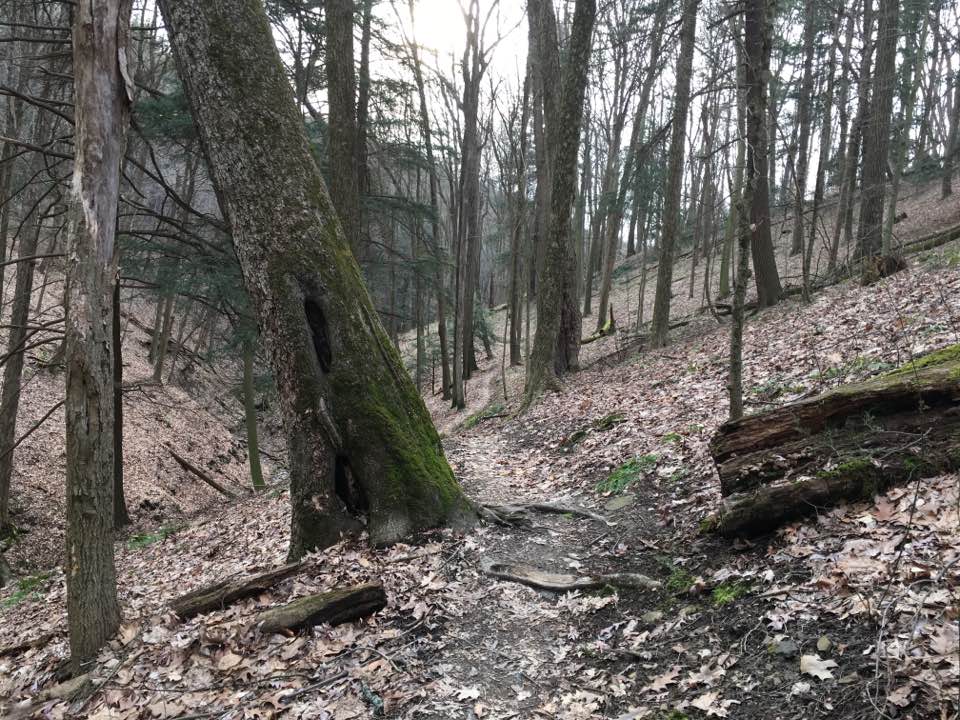 trail 2