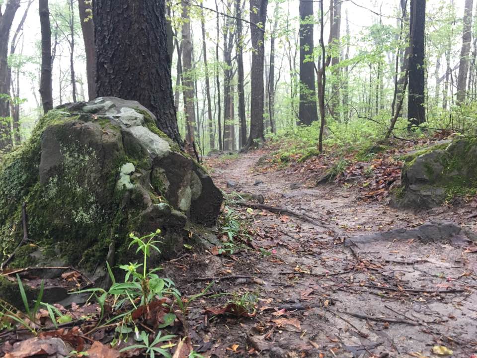 trail 3 and rock