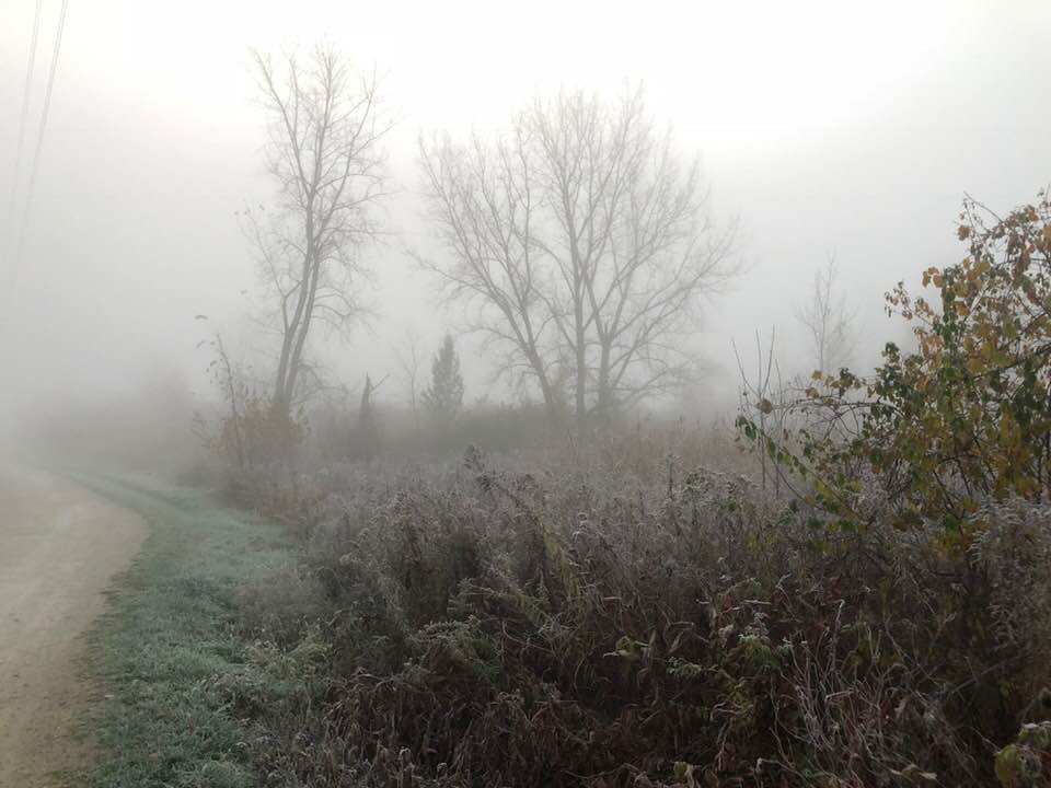 frosty trail