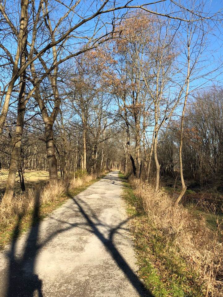 shadowy trail