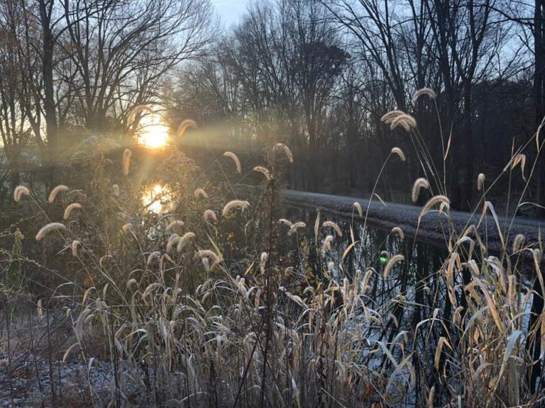 Pretty nice run this morning.