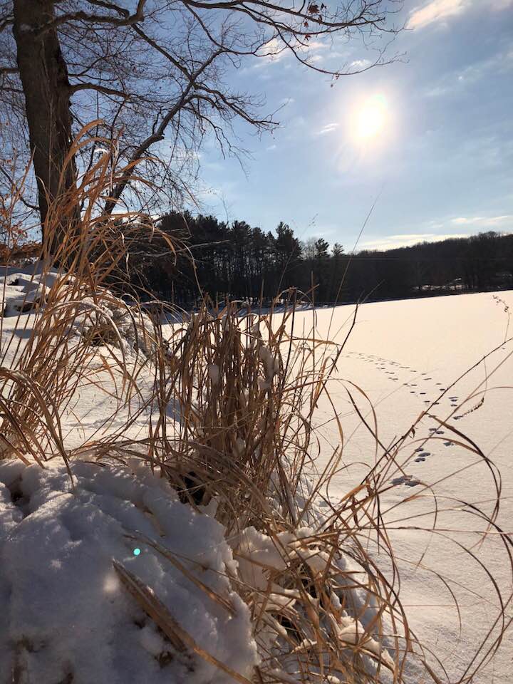 snow field