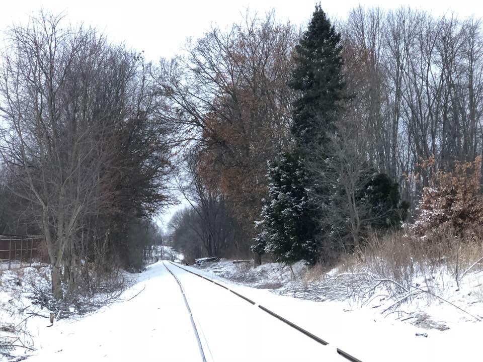 snow train tracks