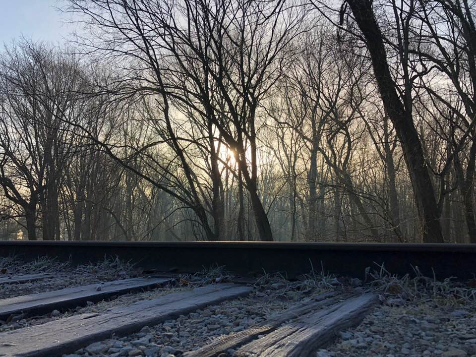 tracks sunbeam