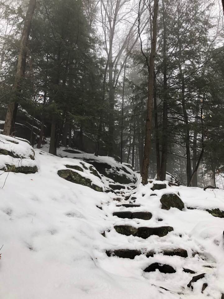 snowy steps