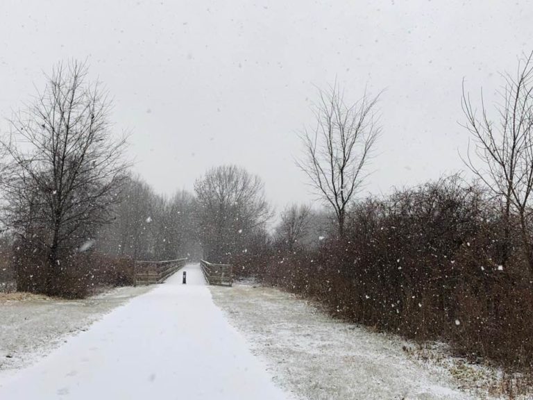 snowy trail