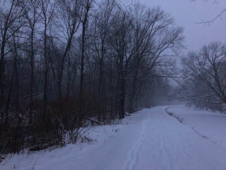 wintry trail