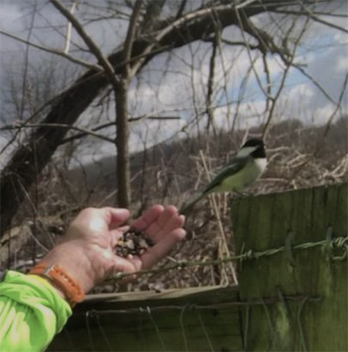 Yes, I carry bird food when I go out, doesn’t everyone?