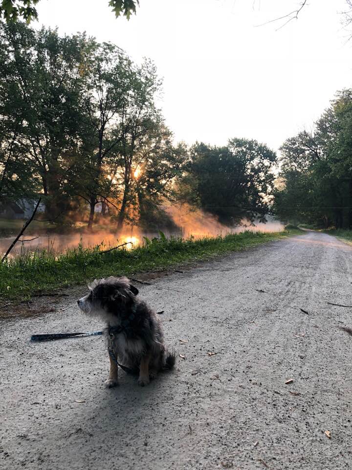 Best part of Taper, logging miles with your favorite running partner!