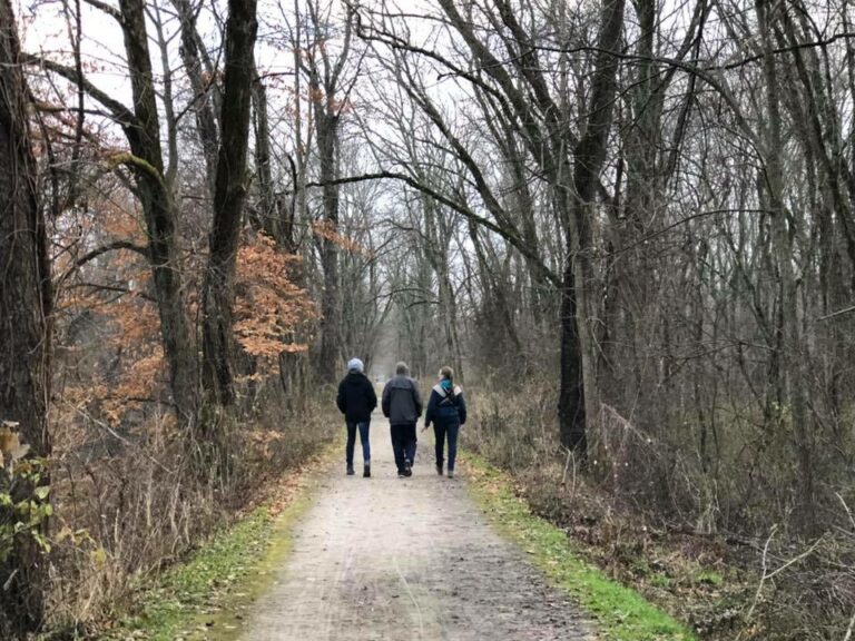 Beautiful Fall walk with family