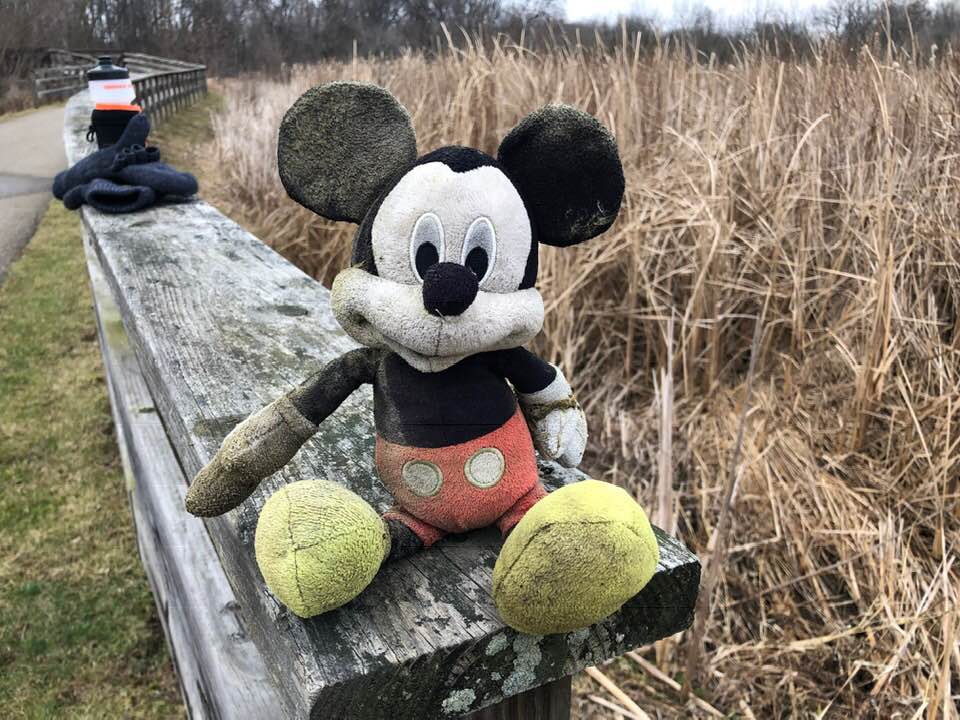 mickey mouse
bridge
walking
