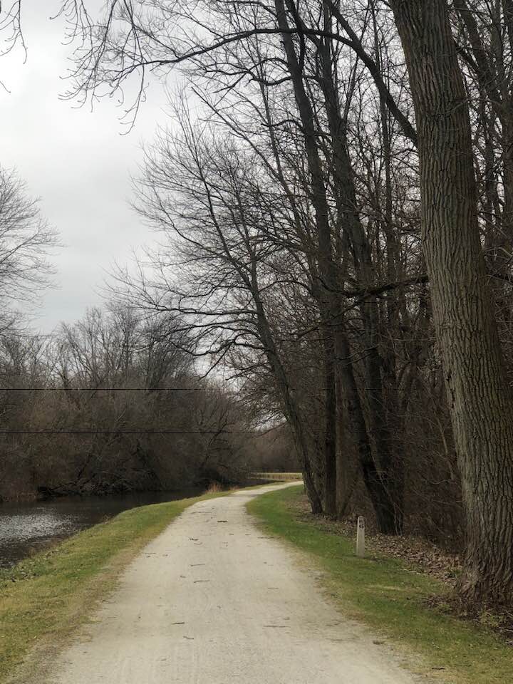 trail
running
trees