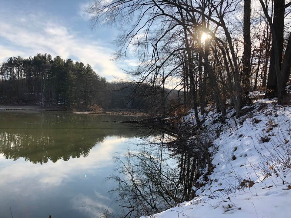 morning
sunshine
walking
snow
lake
trees