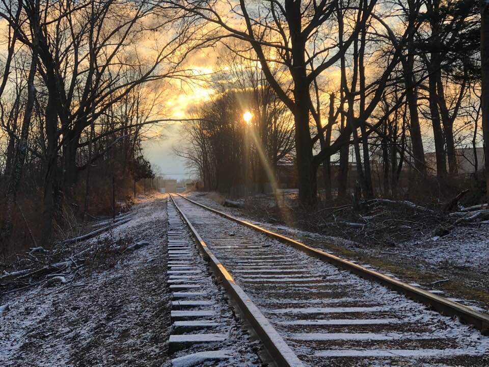 railroad, snow, sunshine, trees