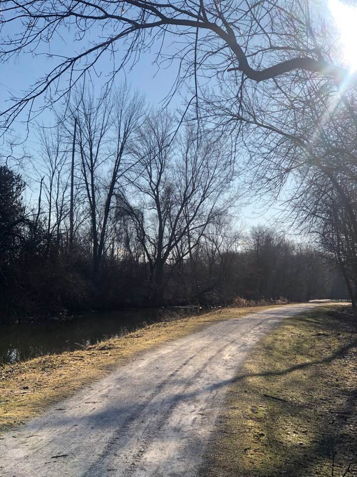 towpath trail, water, creek, sunshine, trees, blue sky