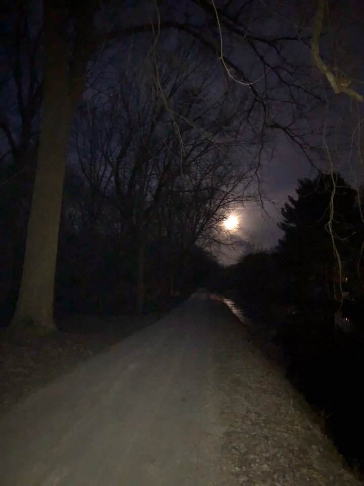 morning run
moon
trees
darkness
trail