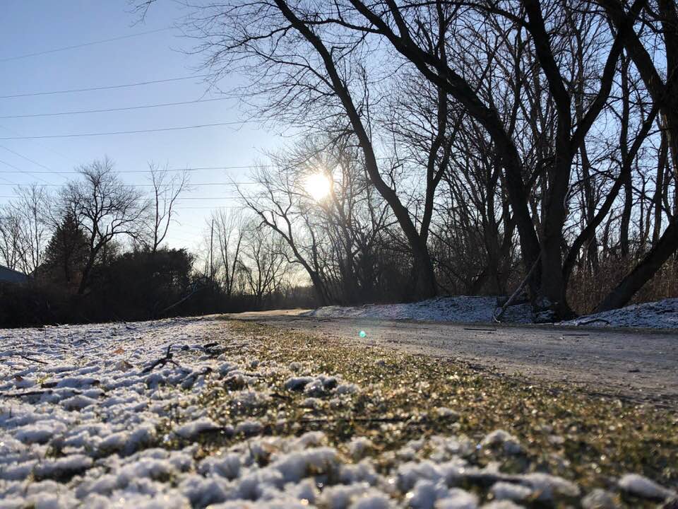 snow
trees
sunshine
towpath