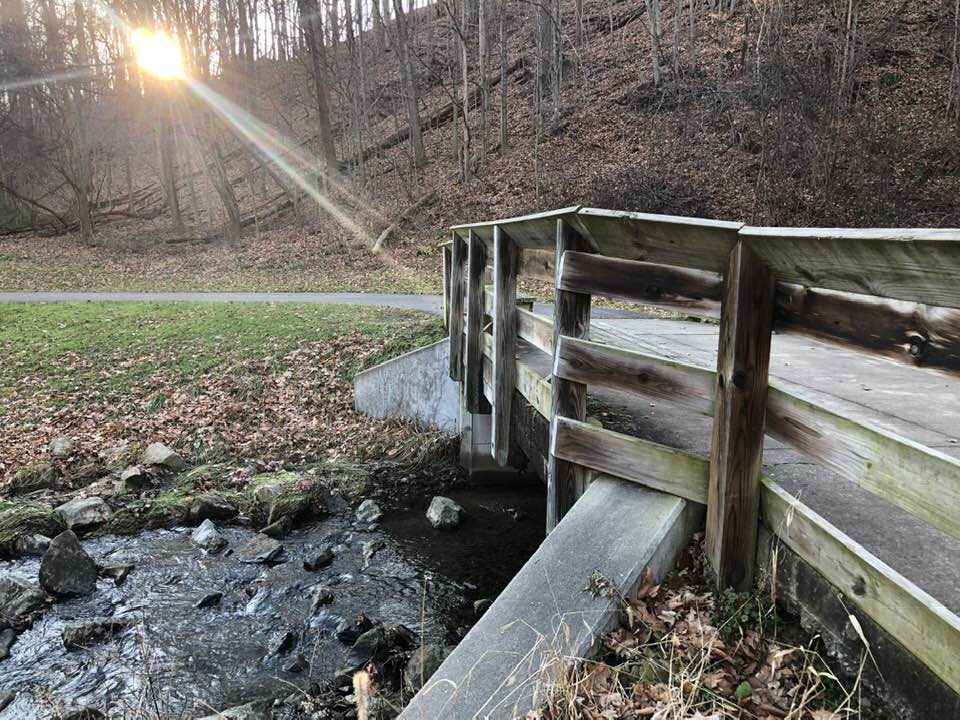 bridge
afternoon walk
walking
bridge
sunshine