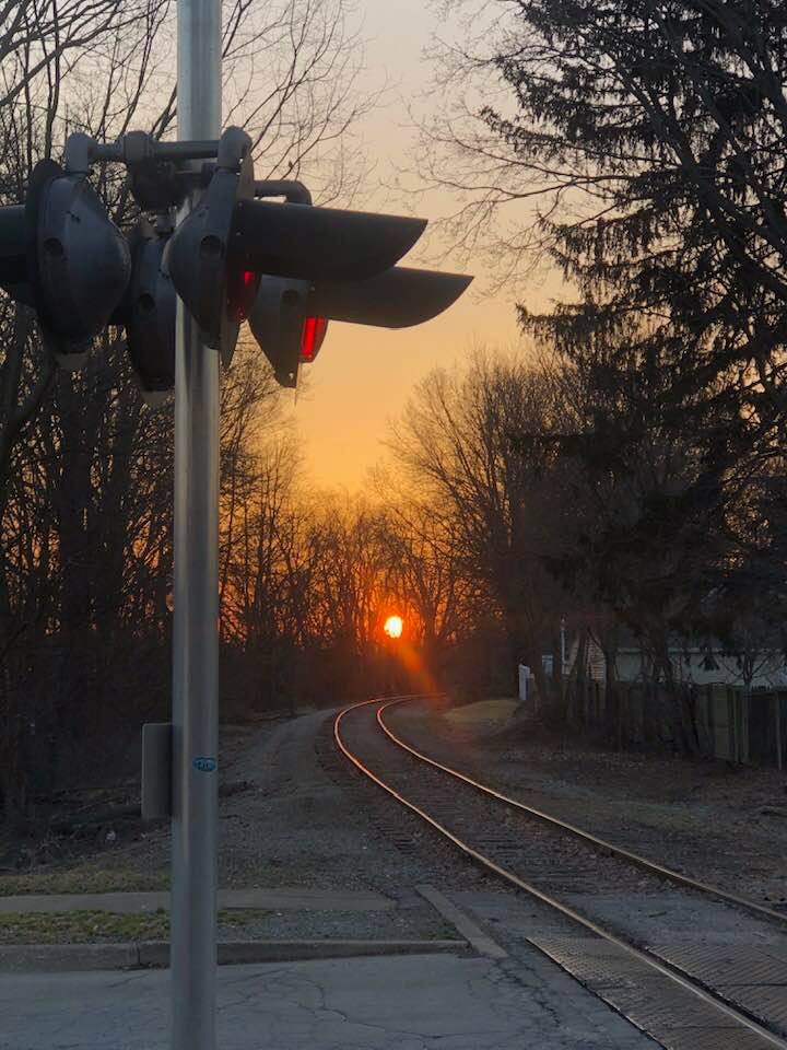 railroad
light
morning
tree