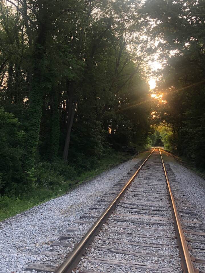 railroad
railroad tracks
trees
sunshine 