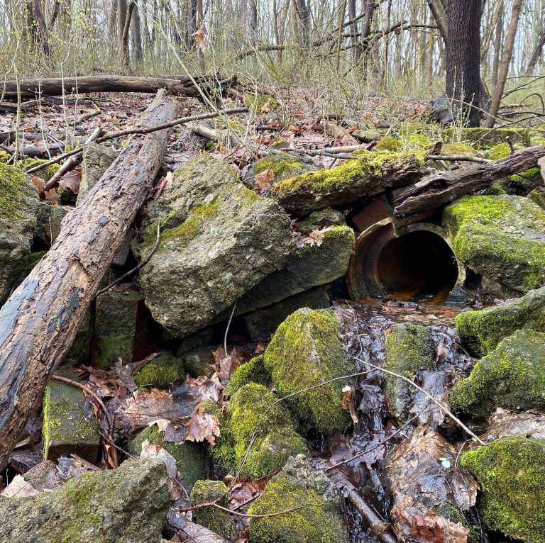 Man put this here decades ago and walked away. Mother Earth took hold and made it Beautiful.