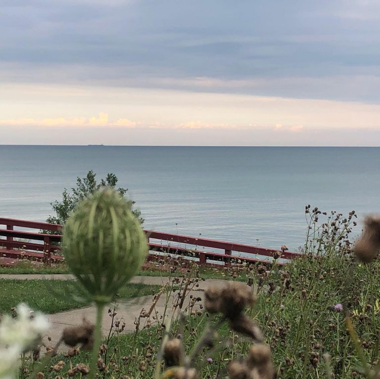 Lake Erie shore