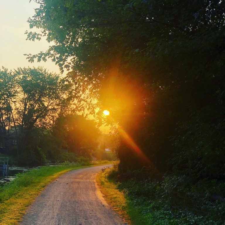 A day painted in gold.