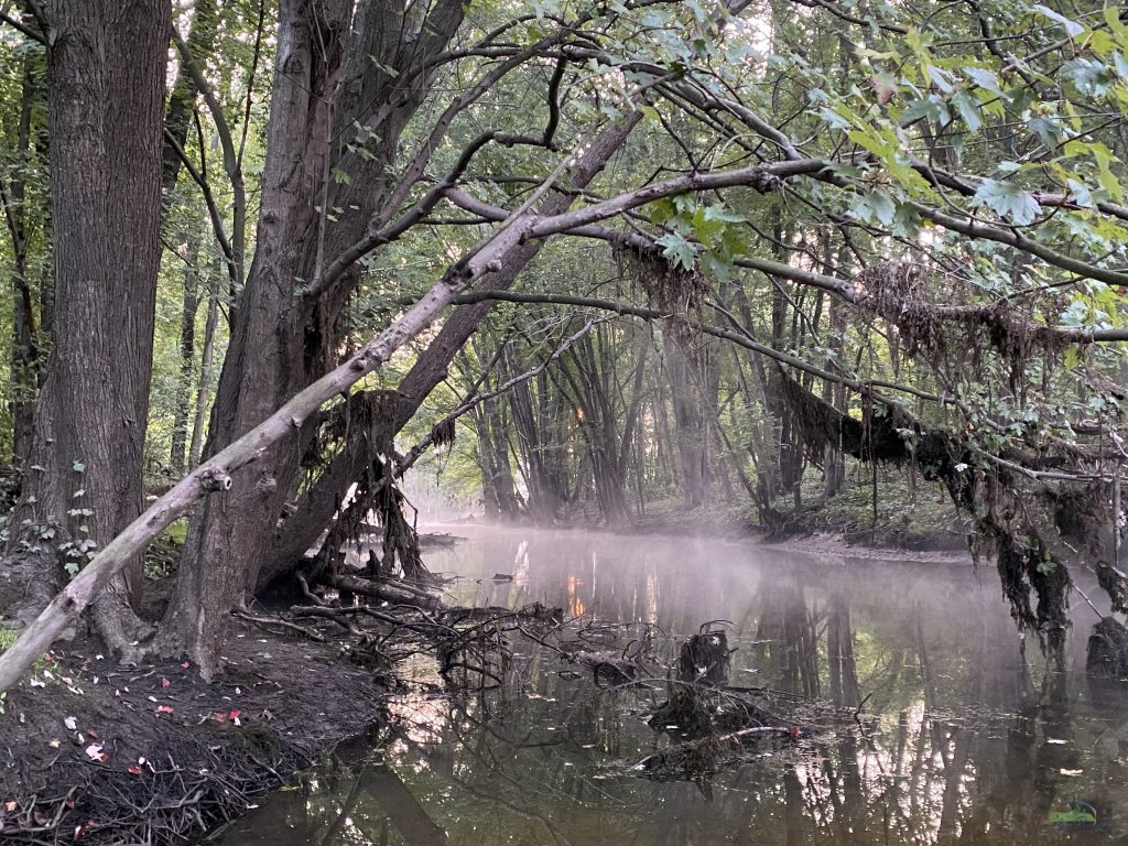 foggy spooky looking tusc river