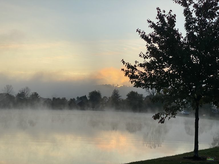 Picture of foggy lake at Loudonville in the morning