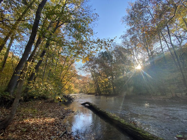 Image of fall foliage bordering Mohican River