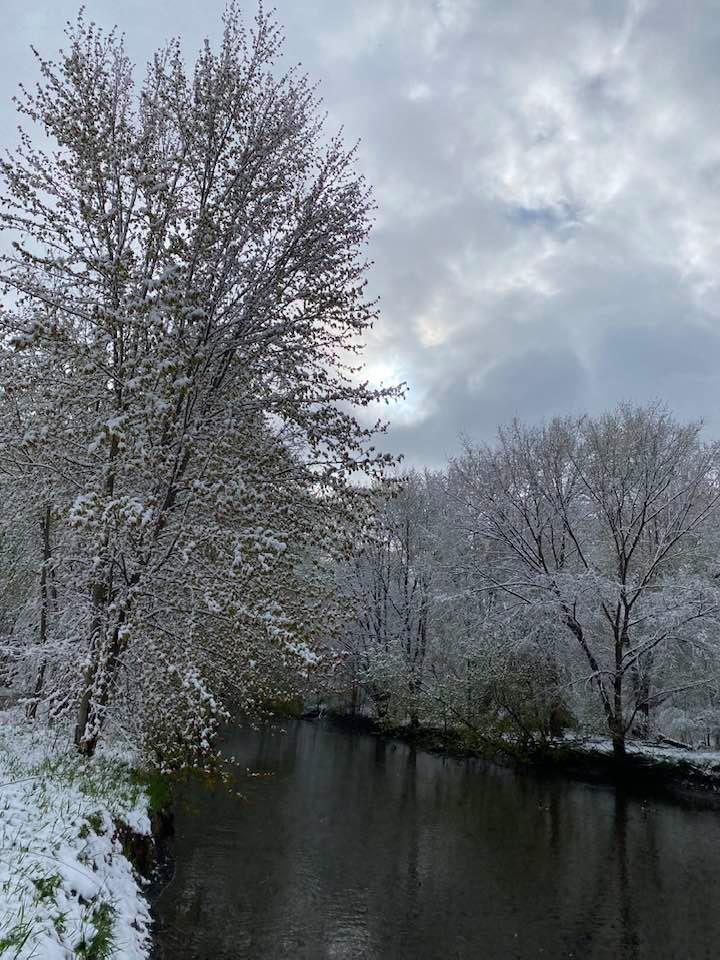 Canal in the snow