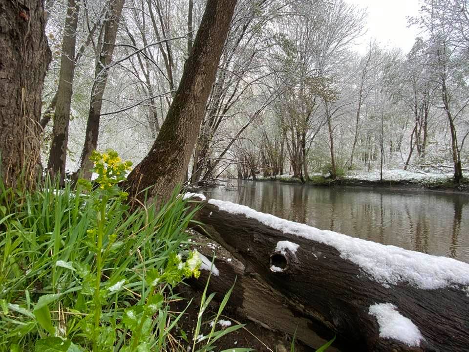 Spring by the canal