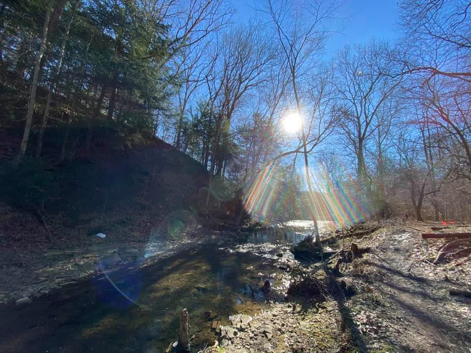 Sun shining through trees onto a muddy trail