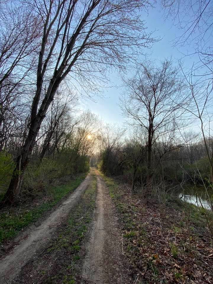 Looking down a muddy track