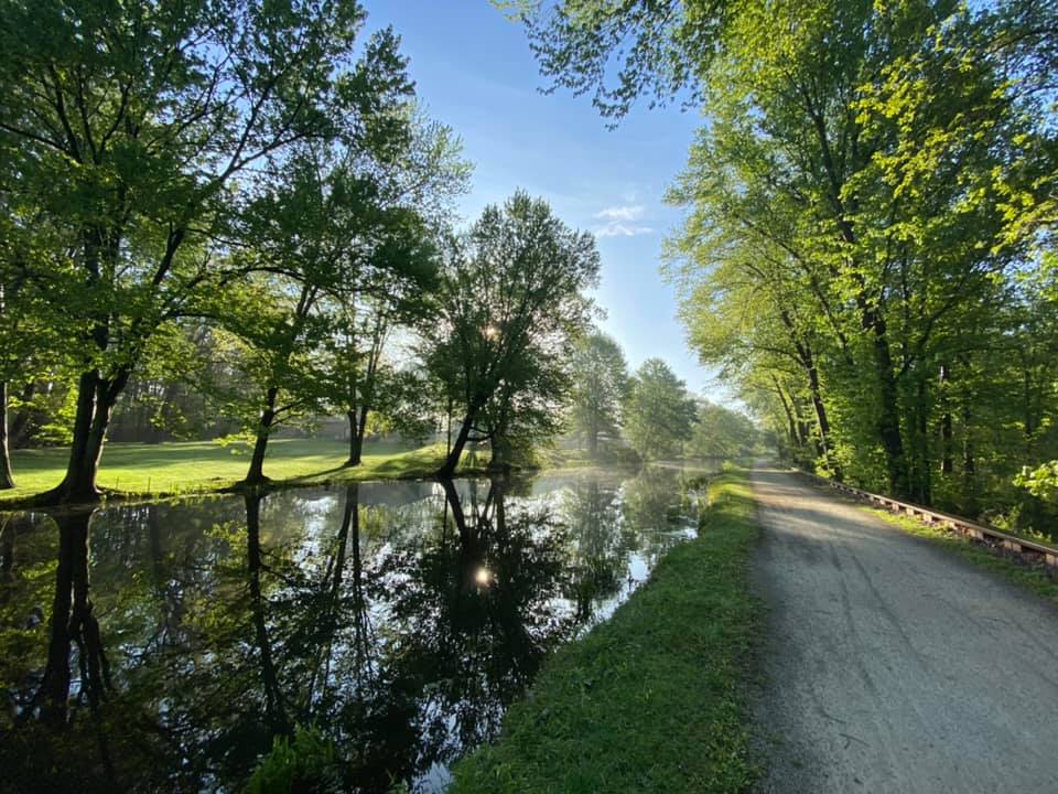 Mist rising off the canal