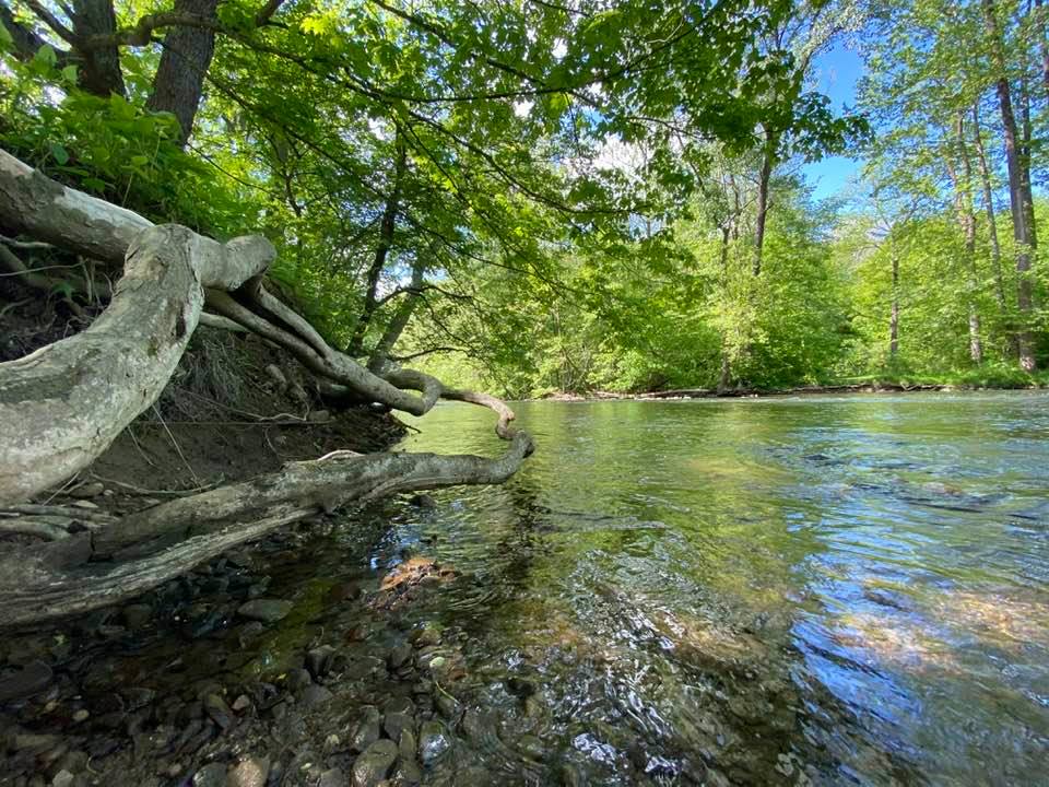 View up the river