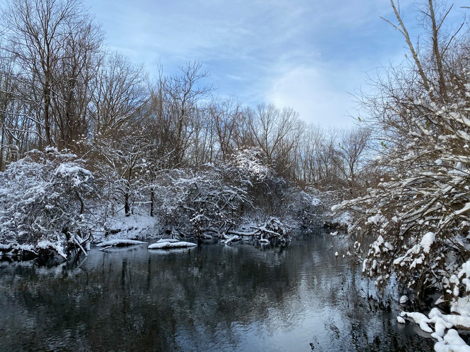 Morning winter scene on the river