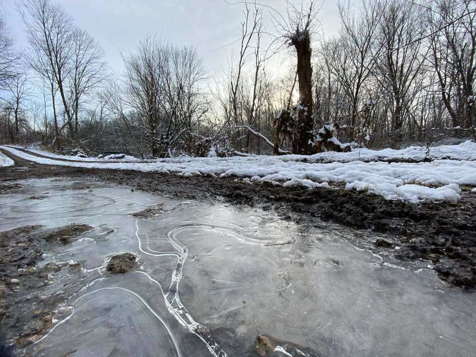 Patterns in the ice